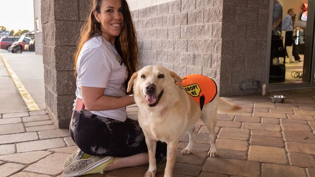 H.A.L.O No Kill Pet Shelter Fundraiser