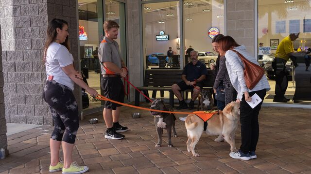 H.A.L.O No Kill Pet Shelter Fundraiser