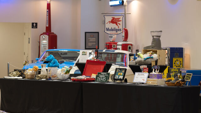 H.A.L.O No Kill Pet Shelter Fundraiser