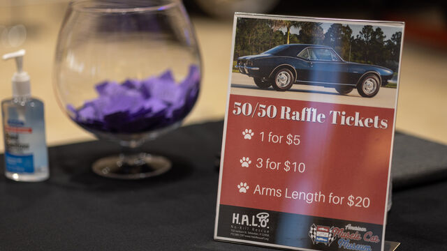 H.A.L.O No Kill Pet Shelter Fundraiser