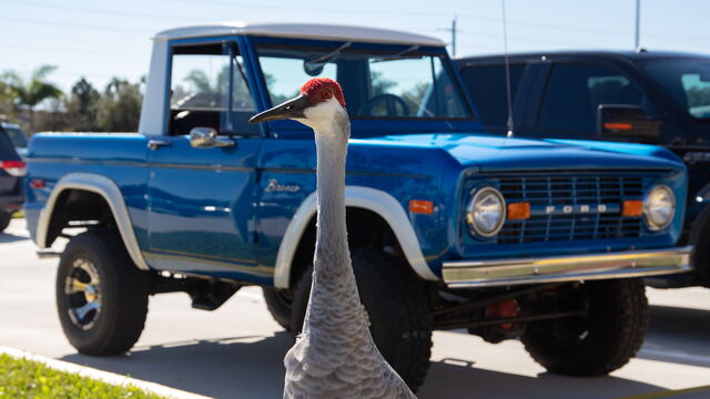 Hagerty's Driver's Club Tour