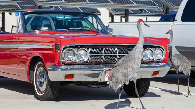 Hagerty's Driver's Club Tour