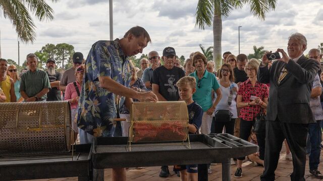 2024 Helping Seniors Car Raffle