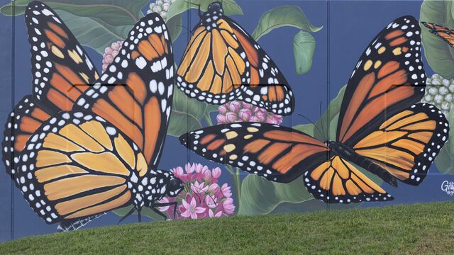 2024 Lake Mirror Concours