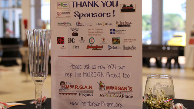 M.O.R.G.A.N. Project 04.07.17