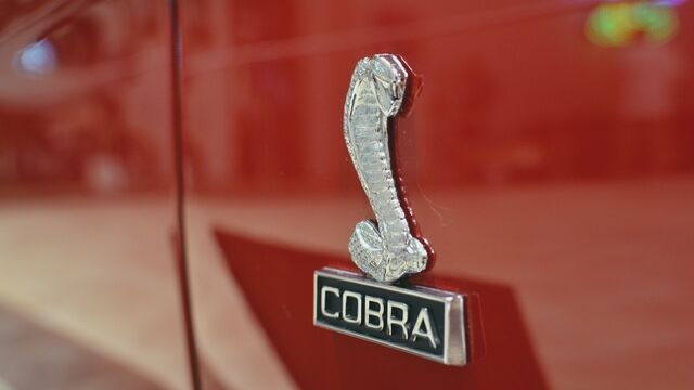 Melbourne Art Festival Patron Party 04.20.17