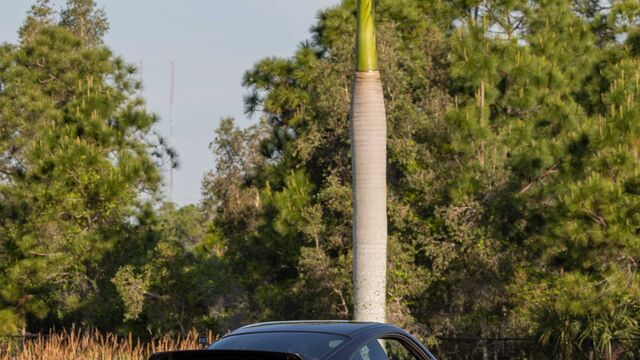 PCA Ice Cream Social and Autocross