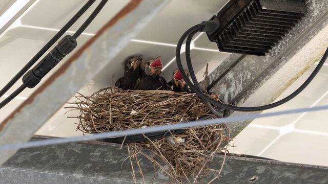 PCA Ice Cream Social and Autocross