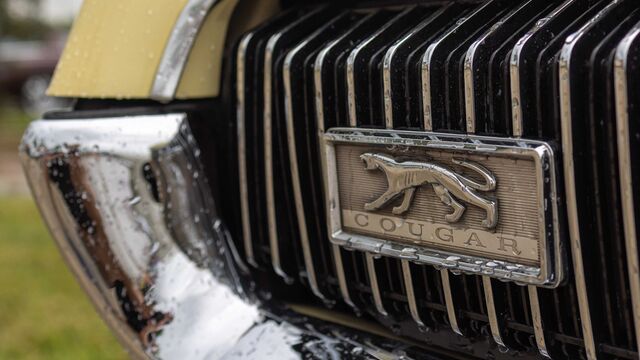 Satellite Beach Lions Club Car Show