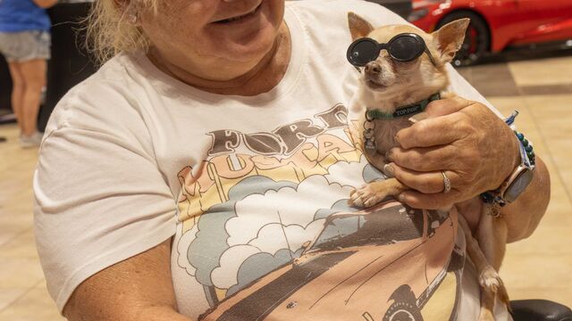 Space Coast Mustang Club Car Show