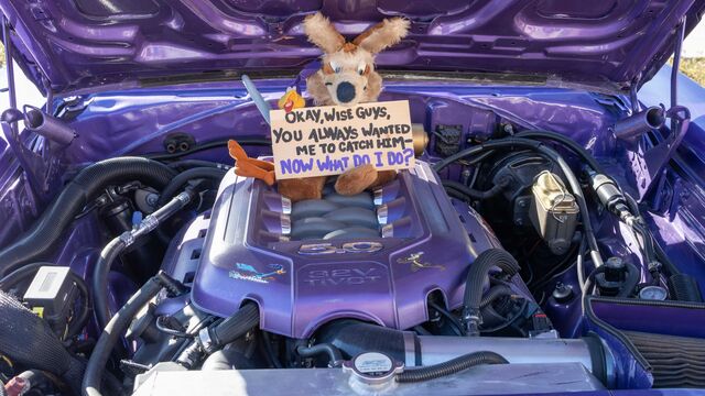 Space Coast Mustang Club Car Show