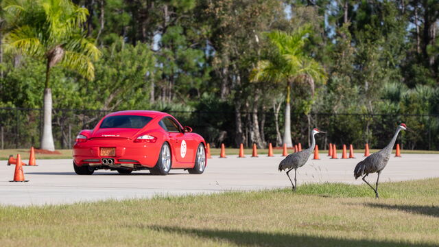 Space Coast PCA Autocross