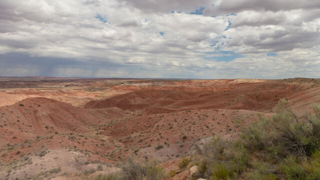 The Great Race - Flagstaff, Arizona